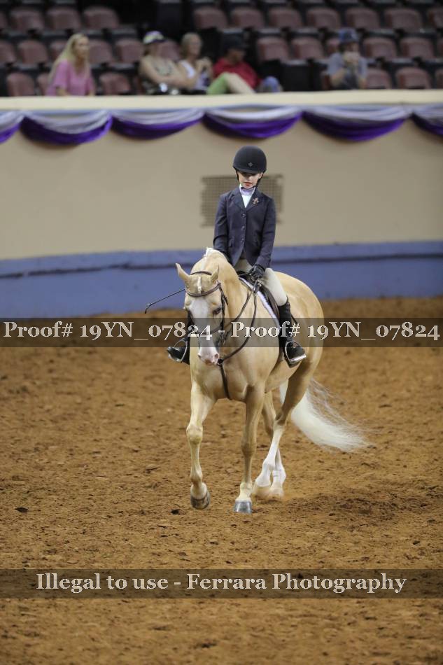 Proof 19YN_07824