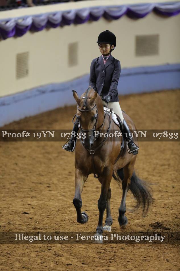 Proof 19YN_07833
