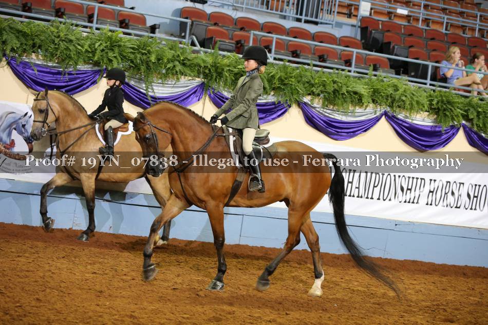Proof 19YN_07838
