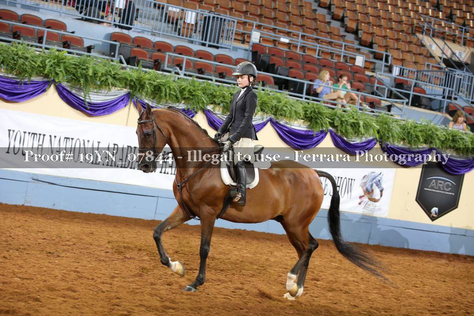 Proof 19YN_07844