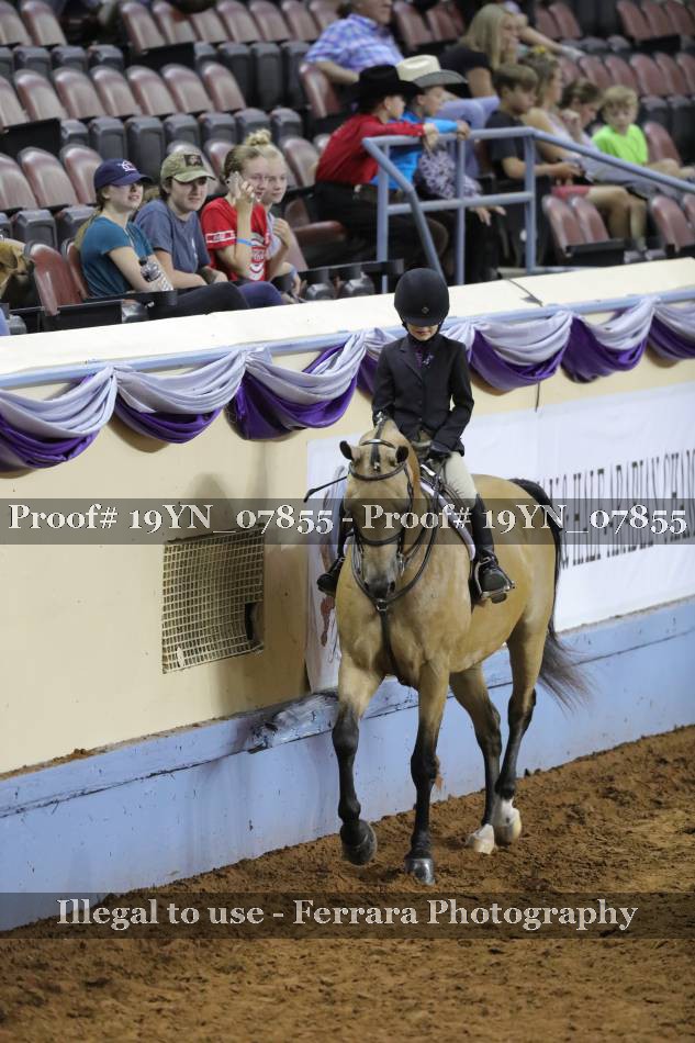 Proof 19YN_07855