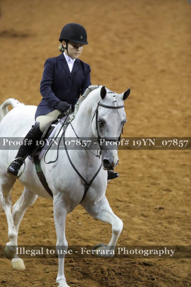 Proof 19YN_07857