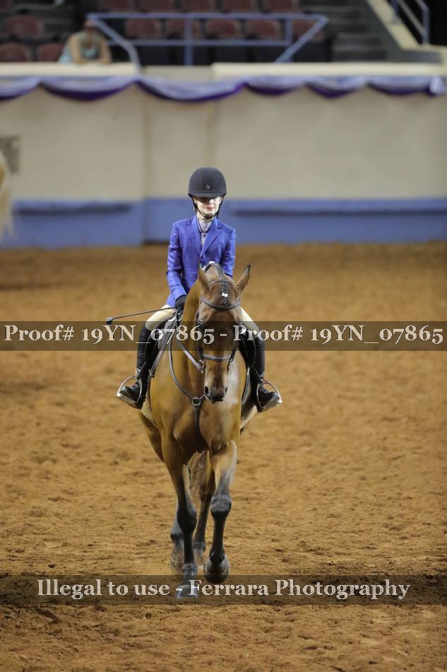 Proof 19YN_07865