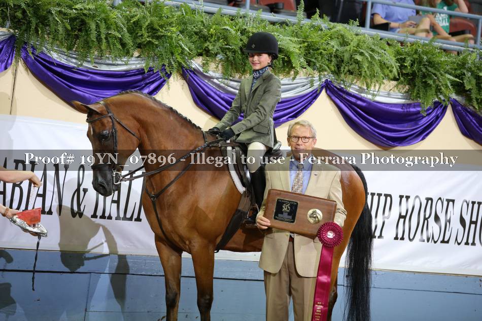 Proof 19YN_07896