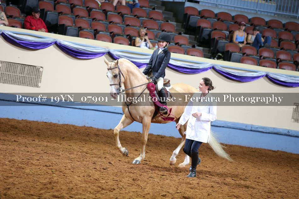 Proof 19YN_07901