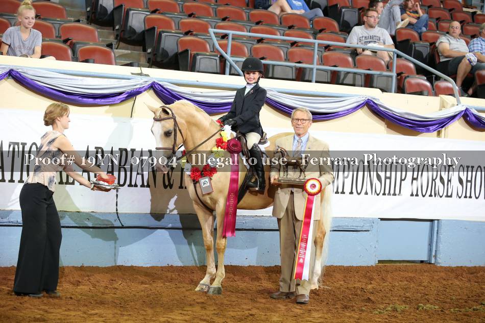 Proof 19YN_07904