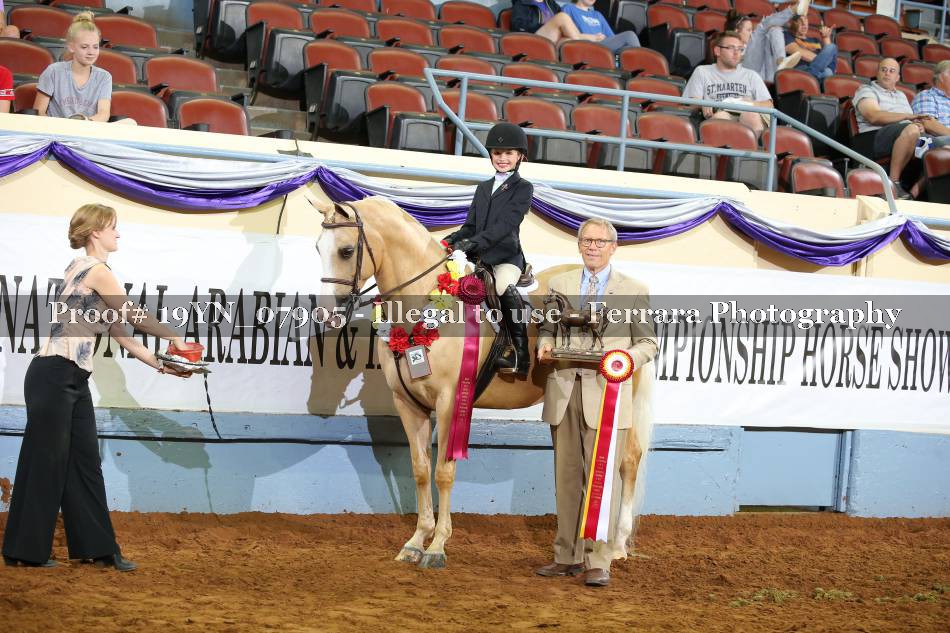 Proof 19YN_07905