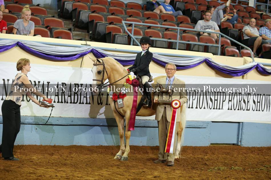 Proof 19YN_07906