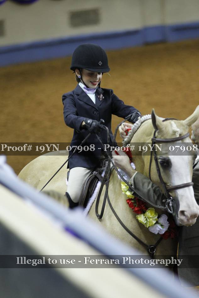 Proof 19YN_07908