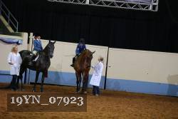 19YN_07923 proof