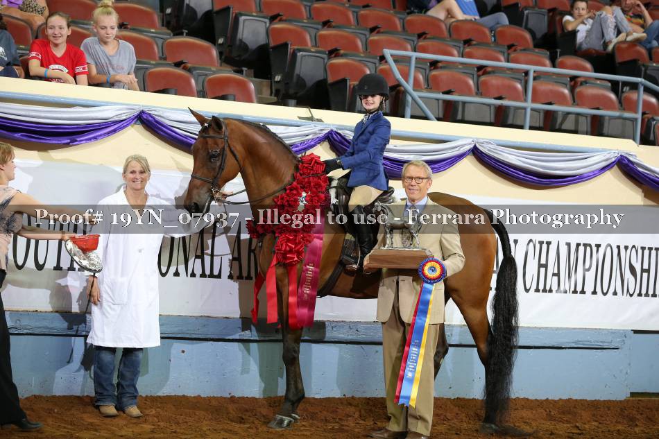 Proof 19YN_07937