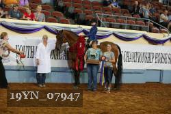 19YN_07947 proof