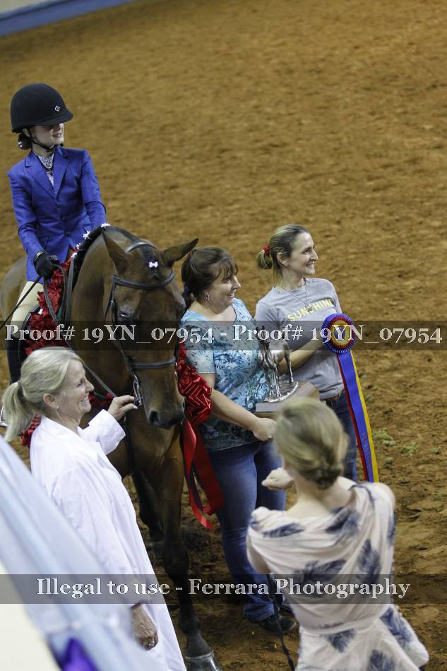Proof 19YN_07954
