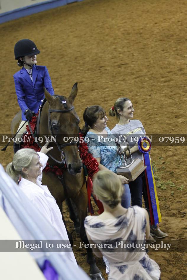 Proof 19YN_07959