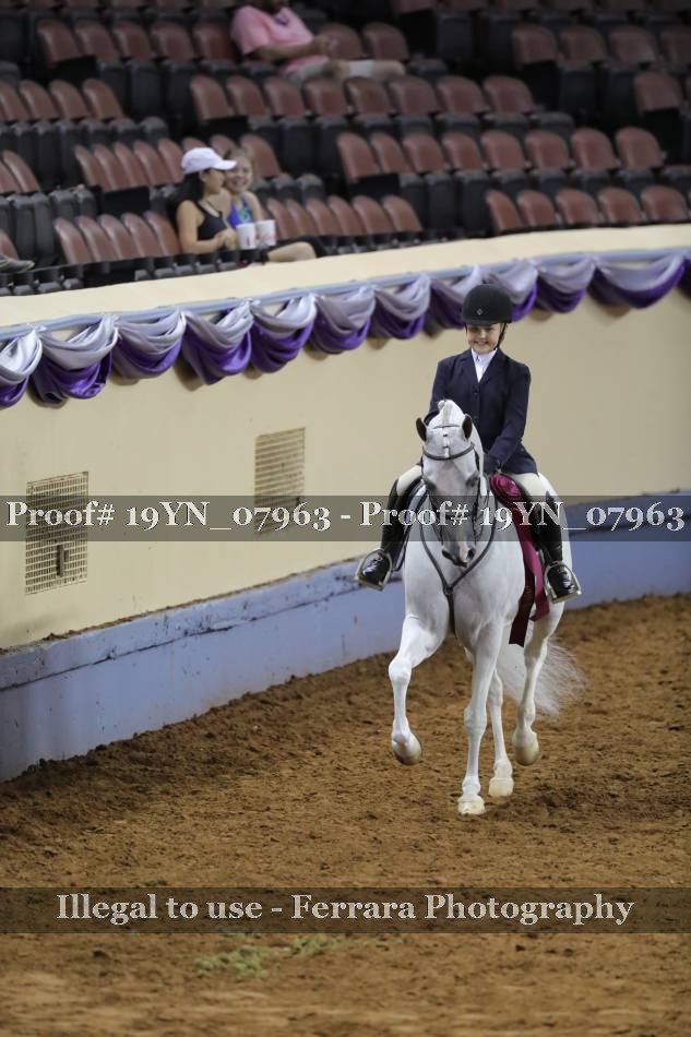 Proof 19YN_07963
