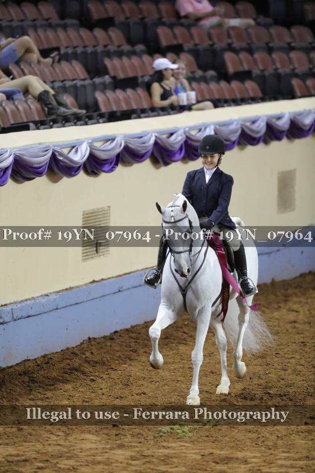 Proof 19YN_07964