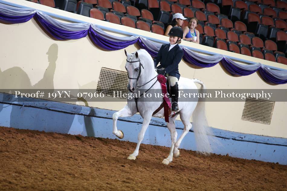 Proof 19YN_07966