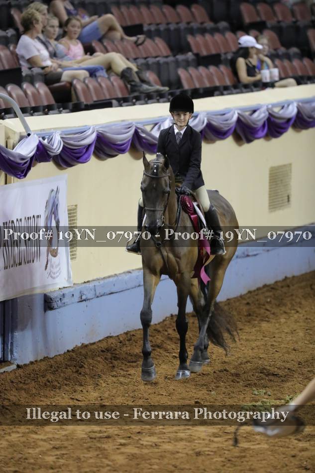 Proof 19YN_07970