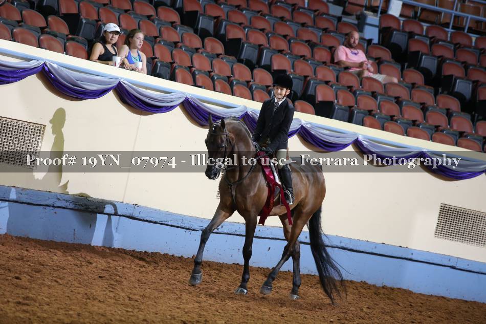 Proof 19YN_07974