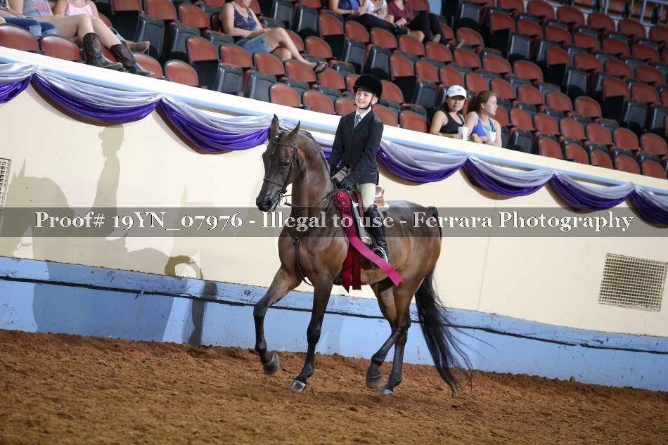 Proof 19YN_07976