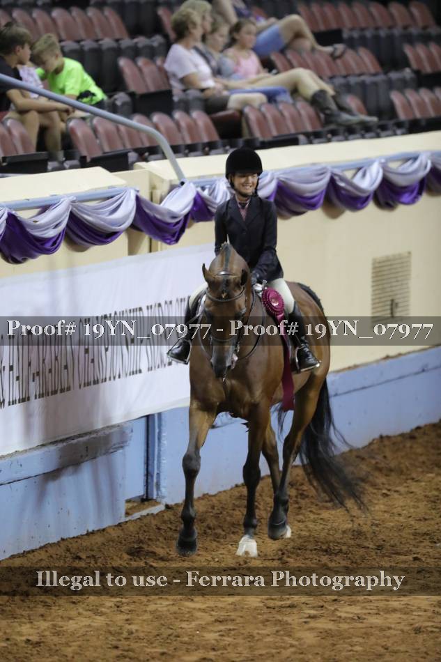 Proof 19YN_07977