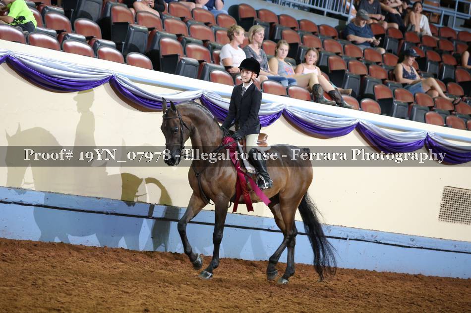 Proof 19YN_07978