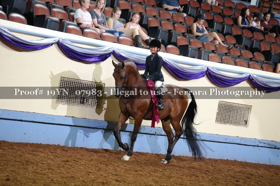 Proof 19YN_07983
