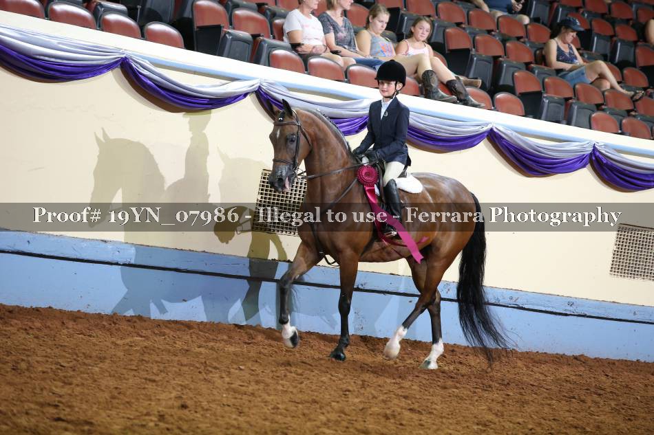 Proof 19YN_07986
