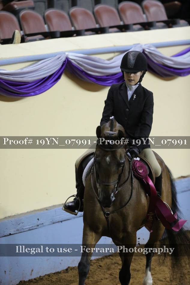 Proof 19YN_07991