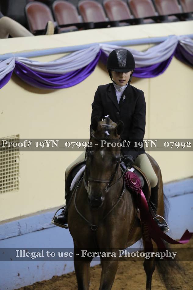 Proof 19YN_07992
