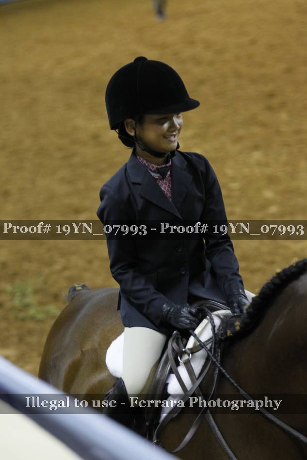 Proof 19YN_07993