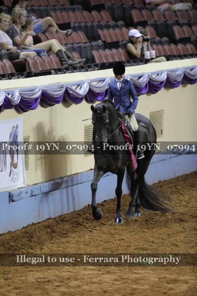 Proof 19YN_07994