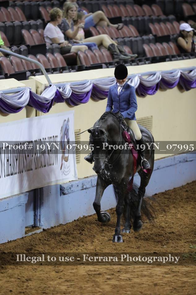 Proof 19YN_07995