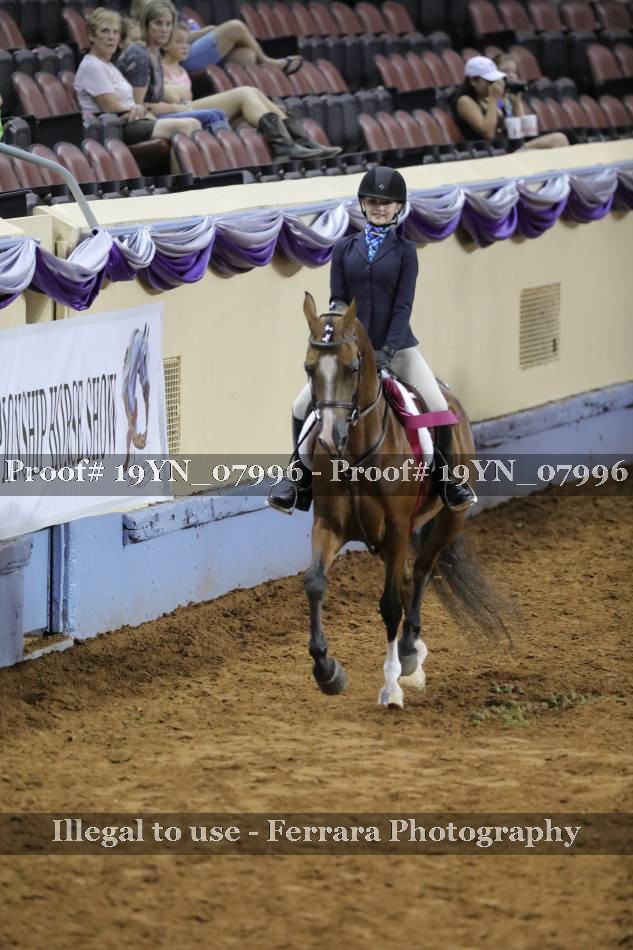Proof 19YN_07996