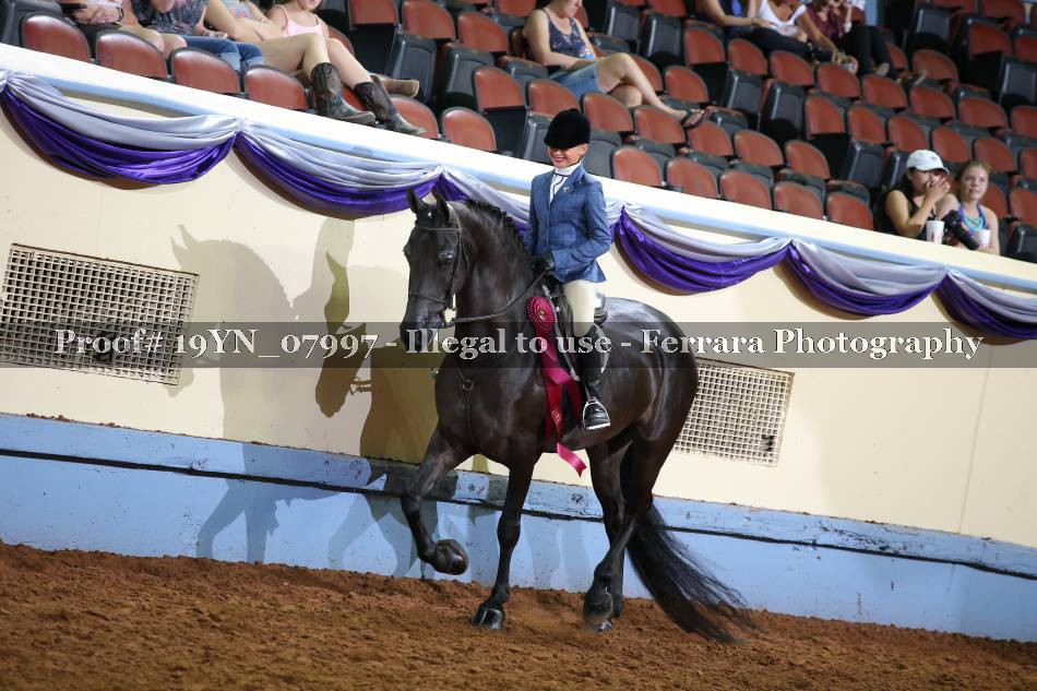 Proof 19YN_07997