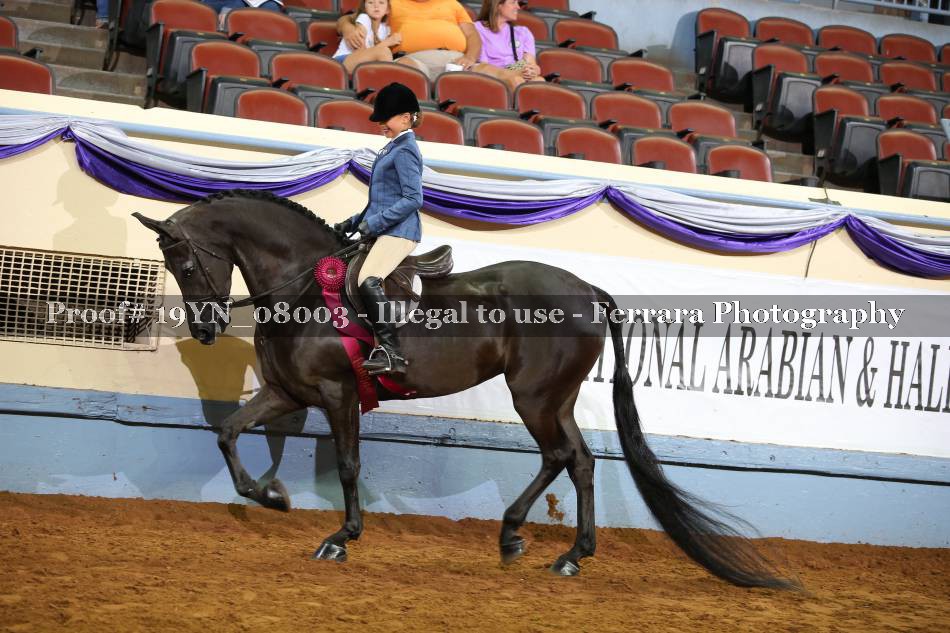 Proof 19YN_08003