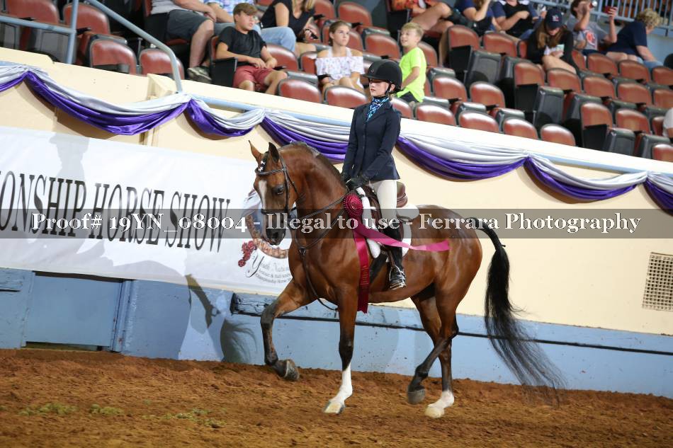 Proof 19YN_08004
