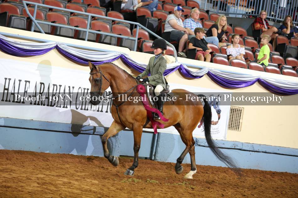 Proof 19YN_08005