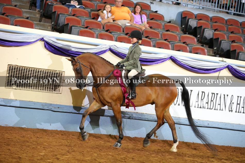 Proof 19YN_08006