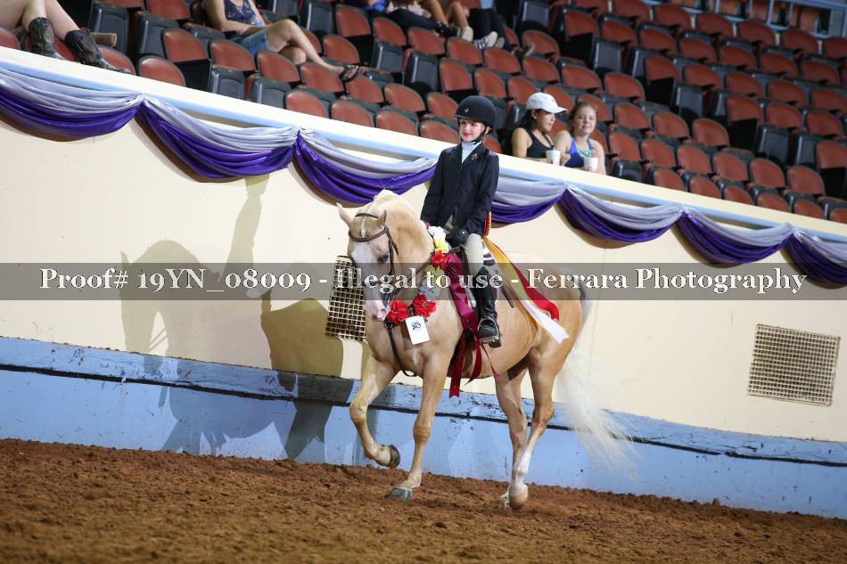 Proof 19YN_08009