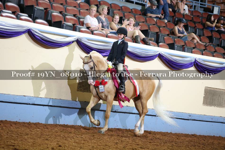 Proof 19YN_08010