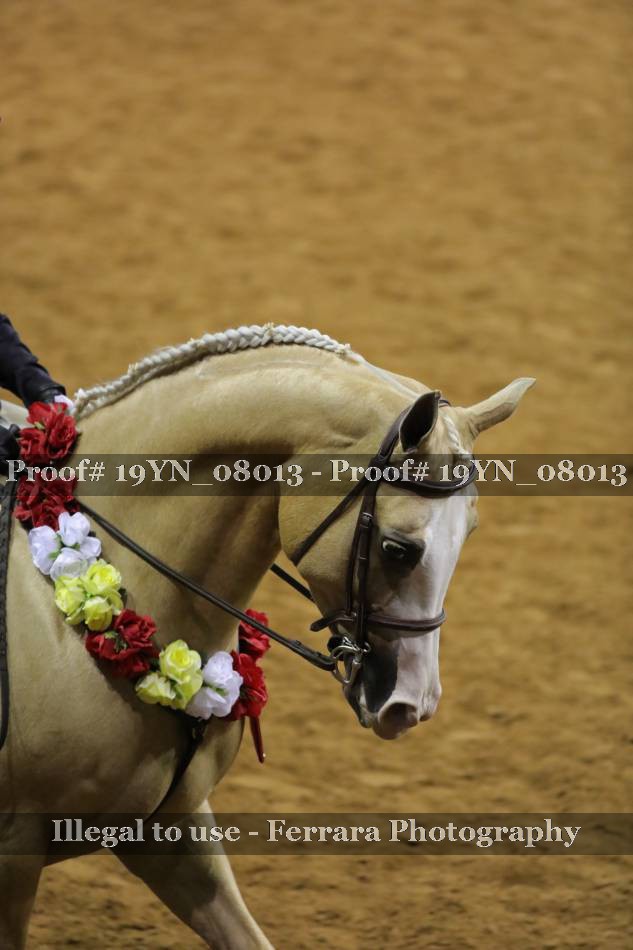 Proof 19YN_08013