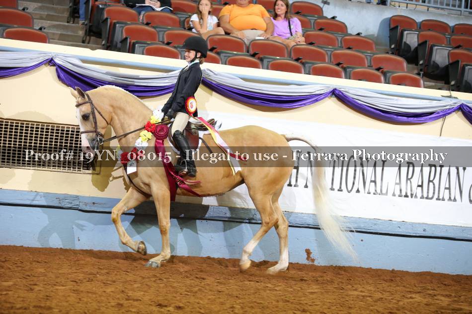 Proof 19YN_08015