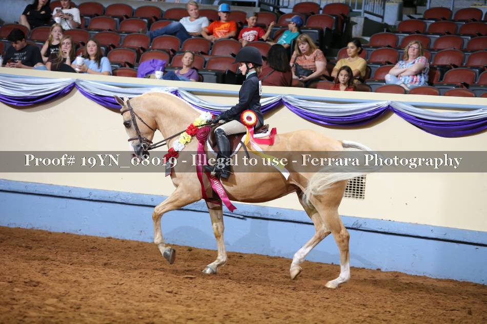 Proof 19YN_08019