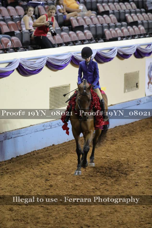 Proof 19YN_08021