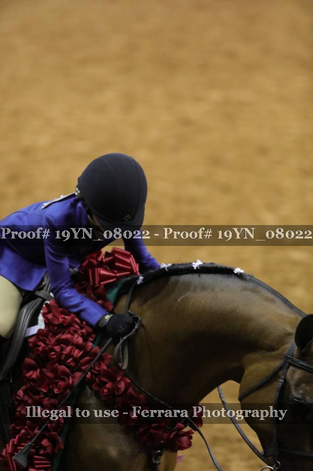 Proof 19YN_08022