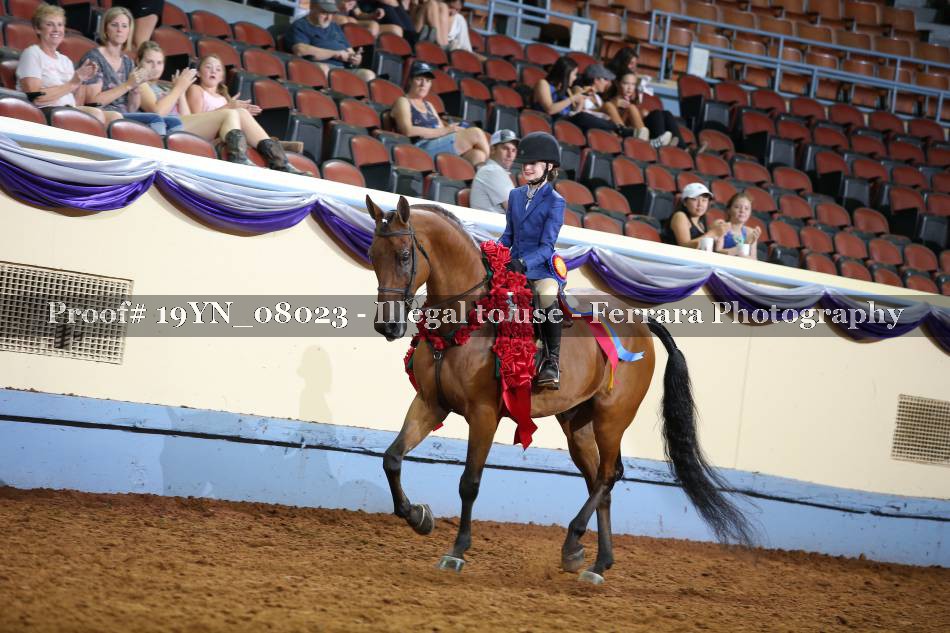 Proof 19YN_08023