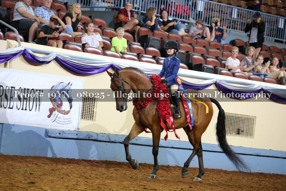 Proof 19YN_08025