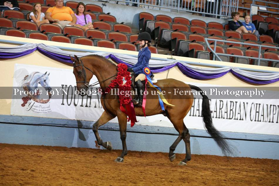 Proof 19YN_08028