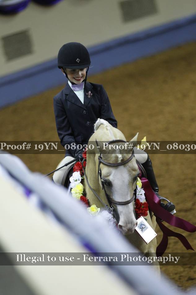 Proof 19YN_08030